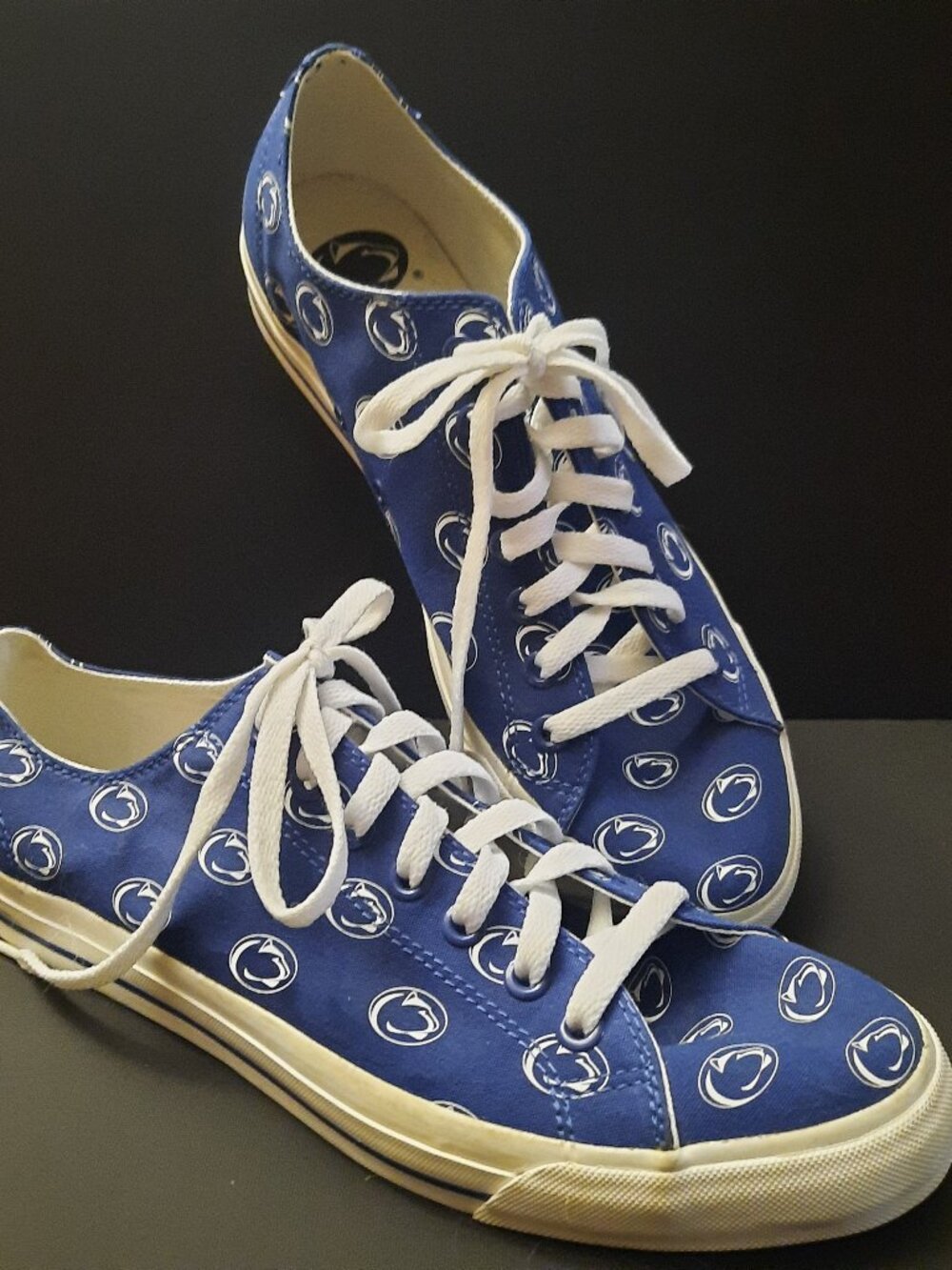 Penn State Row One Canvas Shoes Unisex Size M10, W11.5